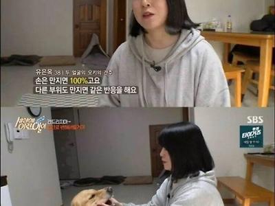 골댕이가 이렇게 화내는거 처음봄.jpg