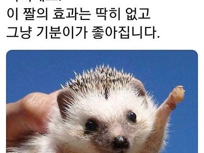 보면 기분 좋아지는 글