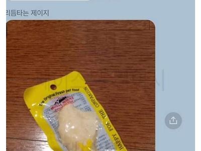 결혼 했더니 장모가 캣맘 ㄷㄷㄷㄷ