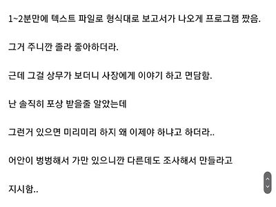 업무 자동화 해줬다가 개털리고 사표 쓴 개발자