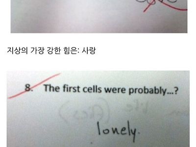 유쾌한 외국 오답들