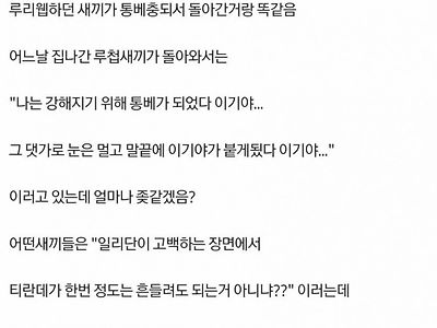 티란데가 일리단 극혐하는 이유