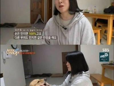 표정 썩는 골댕이