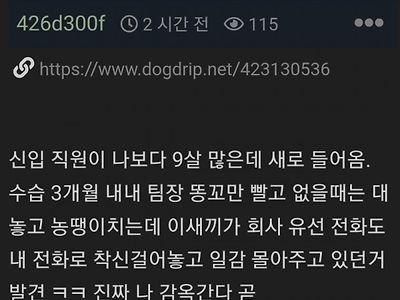 신입에게 살인충동 느낀 직장인.jpg