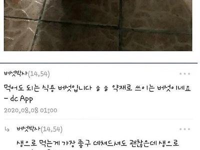 식물갤 유저도 패드립하게 만든 상황jpg