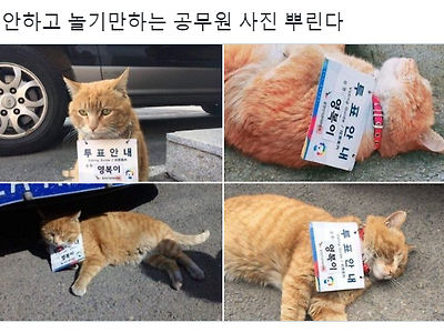 놀기만 하는 공무원
