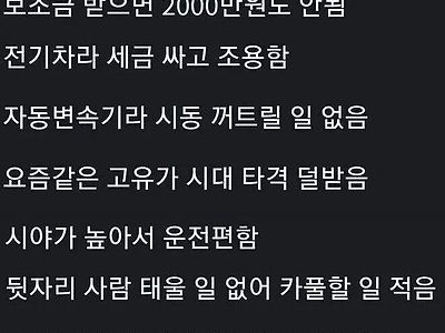 사회 초년생들에게 추천하는 차