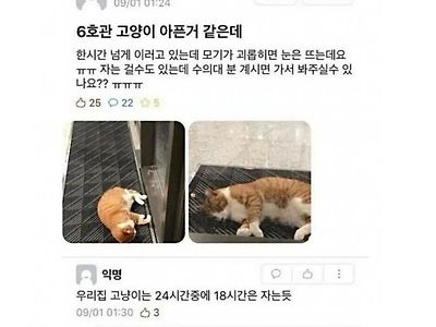 전문용어를 구사하는 수의대생