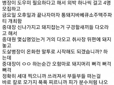 21세기 군대 돼지 도살 썰