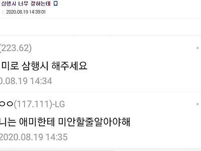 니애미로 삼행시 해주세요