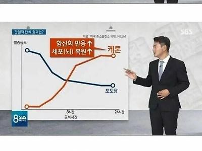 한때 유행이던 간헐적 단식 실체