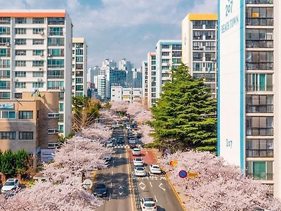 느그 서장 남천동 살제?!
