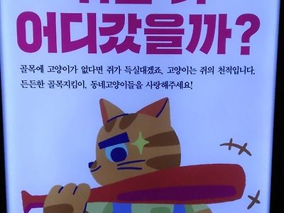 캣맘들이 주장하는 철벽 논리.jpg