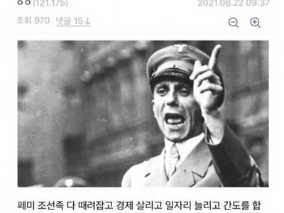 독일인들이 히틀러 지지한 이유