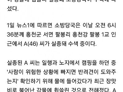 반려견을 믿고 강에 뛰어든 40대여성 실종