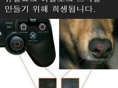 플스 듀얼쇼크.. 이래도 사시겠습니까?