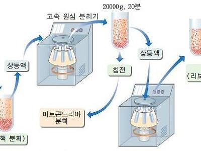 원심분리기