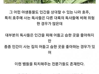 먹튀가 불가능한 서비스 업종