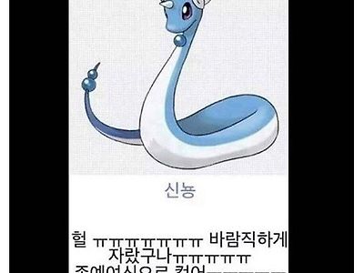 와이프가 미뇽 같다