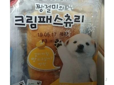 시어머니가 며느리가 사온 빵을 개한테 줘버림.jpg