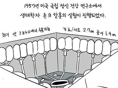 60년전 실험쥐를 이용한 사회실험.manhwa