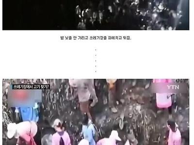 쓰레기장에서 고기를 캐는 중국인들