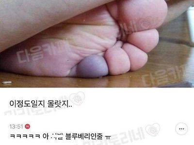 블루베리 보고 가실게요~ ㅋㅋㅋㅋㅋㅋㅋㅋ