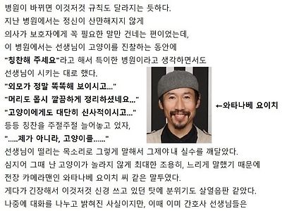 감동) 고양이 데리고 동물병원 갔다가 울뻔한 이야기