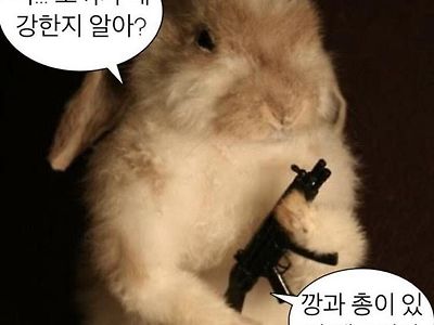 토끼가 강한이유