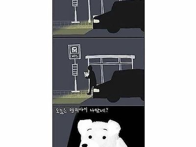 버려지는 개 그들의 마음 슬픔 추