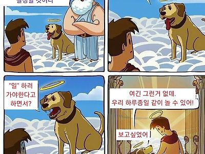 저승에서 반려동물 만나는 만화