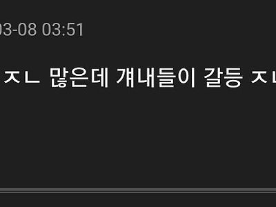 와 벌써 이런 댓글 달리기 시작하네 ㅋㅋ
