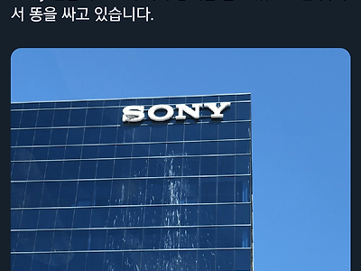 실시간 소니 건물 상황