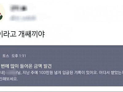 100만원이 넘는 돈이 들어왔네요. 어디서 받으신거죠?.jpg