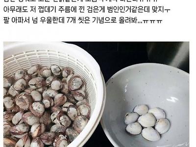 하루종일 꼬막 7개 손질한 사람.jpg