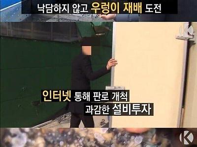 청년 취업난 해결책을 제시하고 있는 KBS