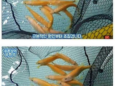 1년만의 대딸