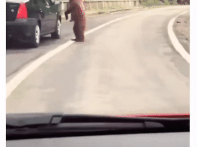 아조씨 나좀 픽업 해줘.gif