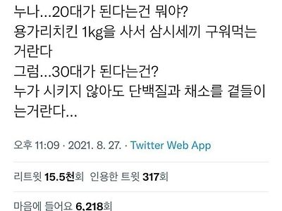 누나, 20대가 된다는 건 뭐야?