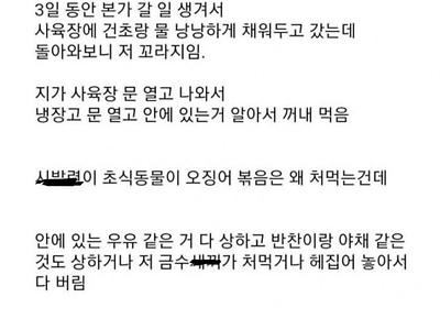 거북이한테 냉장고 테러당한 디씨인