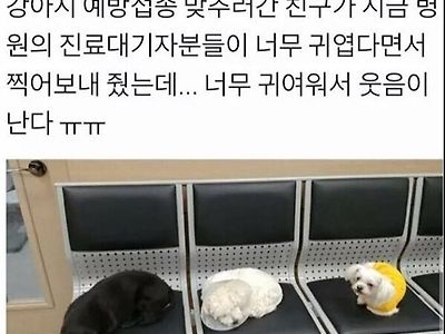 병원 진료 대기자가 너무 귀엽다