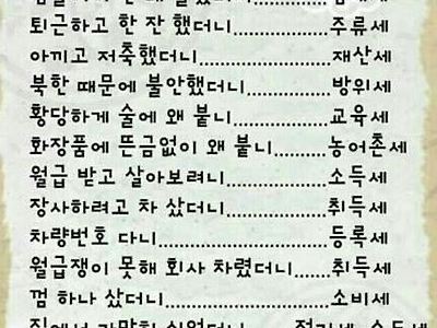 한국의 각종세금 풍자와 종류