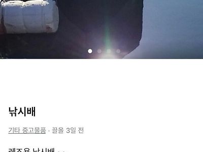 1100만원짜리 당근마켓 레즈용품.jpg
