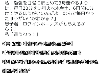 공부를 매일 하는게 좋은 이유