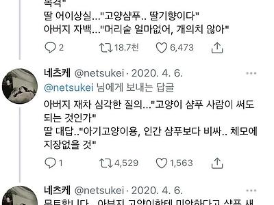 아버지 심각한 질의.. "고양이 샴푸 사람이 써도 되는 것인가"