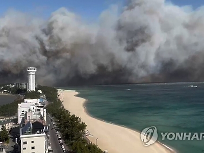 강릉 산불 근황 경포대 관광지 펜션이랑 모텔들 피해 엄청나다고 함;