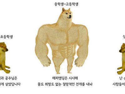 나이대별 선호 엔딩