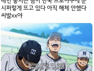 야구애니보고 빡친 야구팬