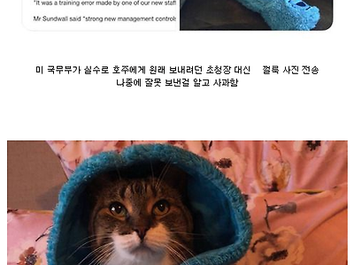 업무 중 실수로 초청장 대신 개인 사진을 보냈던 외교사고