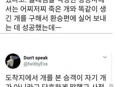 우리 개가 부활 했어요